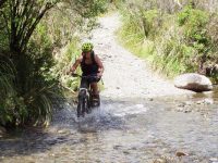 Tongario Mountain Bike Hire