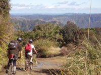 Tongarrio Mountain Bike Hire