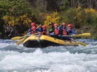 Whitewater rafting for the family